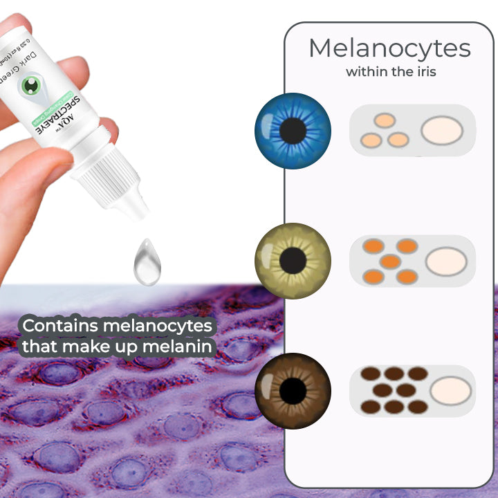 𝑺𝒑𝒆𝒄𝒕𝒓𝒂𝑬𝒚𝒆 𝑪𝒐𝒍𝒐𝒓 𝑪𝒉𝒂𝒏𝒈𝒊𝒏𝒈 𝑫𝒓𝒐𝒑𝒔 𝑷𝒓𝒐 （👁️ Cliniquement testé et approuvé par les ophtalmologistes）